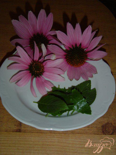 Фото приготовление рецепта: Чай мятный с цветами эхинацеи шаг №1