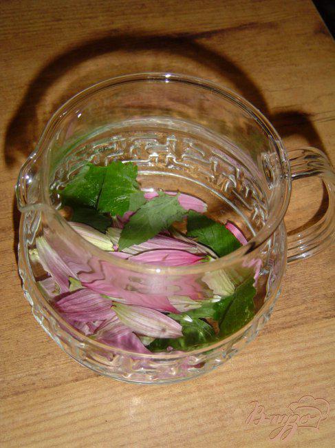 Фото приготовление рецепта: Чай мятный с цветами эхинацеи шаг №2