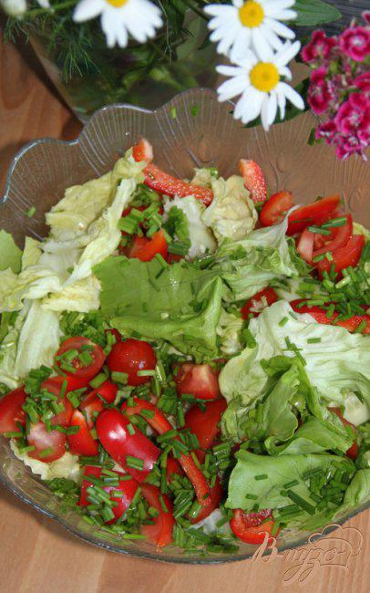 Фото приготовление рецепта: Салат из свежих овощей с острой пармезановой заправкой шаг №1
