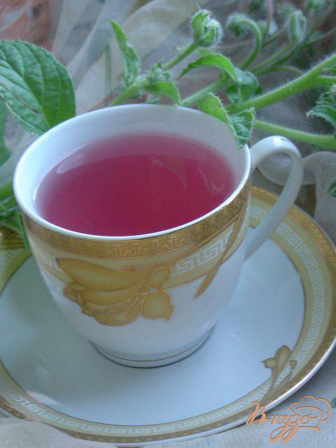 Фото приготовление рецепта: Чай из смородины, её листочков и имбиря шаг №4