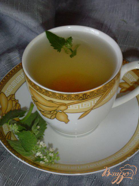 Фото приготовление рецепта: «Чай с абрикосом,нектарином и мятой.» шаг №3
