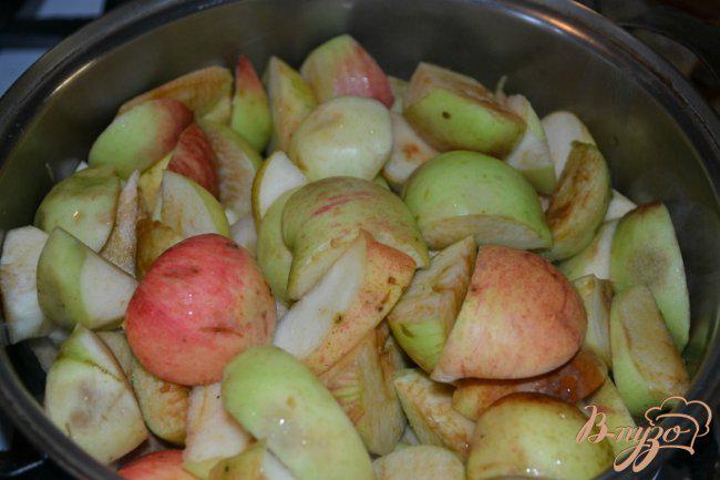 Фото приготовление рецепта: Пастила из яблок. шаг №1