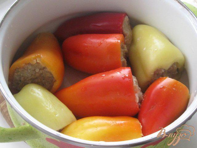 Фото приготовление рецепта: Перец фаршированный мясом в морковно-томатном  соусе шаг №2