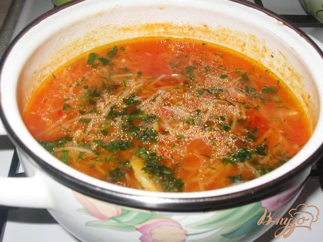 Фото приготовление рецепта: Томатный суп с курицей и вермишелью по-турецки шаг №7