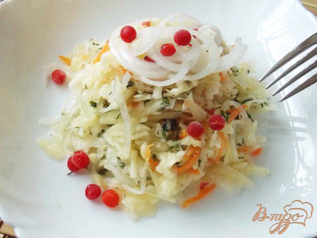 Фото приготовление рецепта: Салат из квашеной капусты с яблоками шаг №4