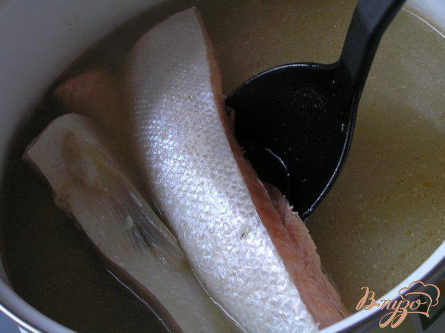Фото приготовление рецепта: Суп с форелью и лососем шаг №1
