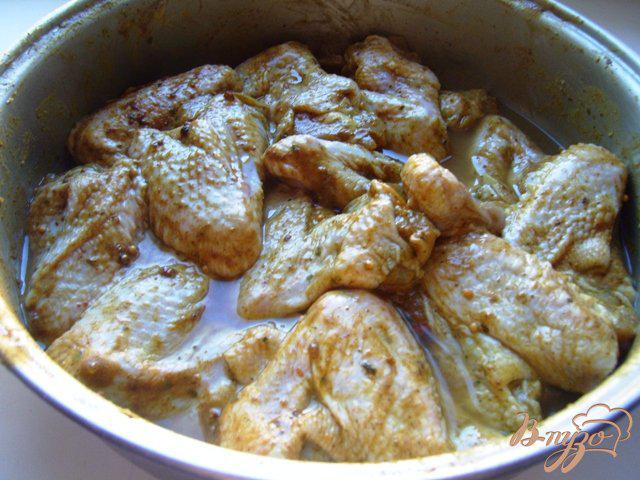 Фото приготовление рецепта: Куриные крылышки в медовом маринаде шаг №1