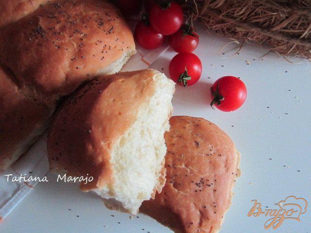 Фото приготовление рецепта: Хлеб из Тичино (Pane Ticinese) шаг №5