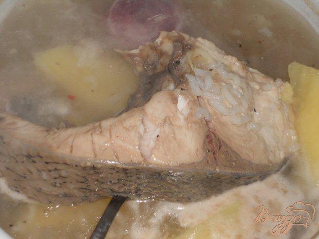 Фото приготовление рецепта: Рыбный суп из толстолоба шаг №3