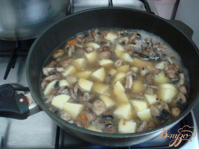 Фото приготовление рецепта: Грибной суп пюре на сковороде шаг №4