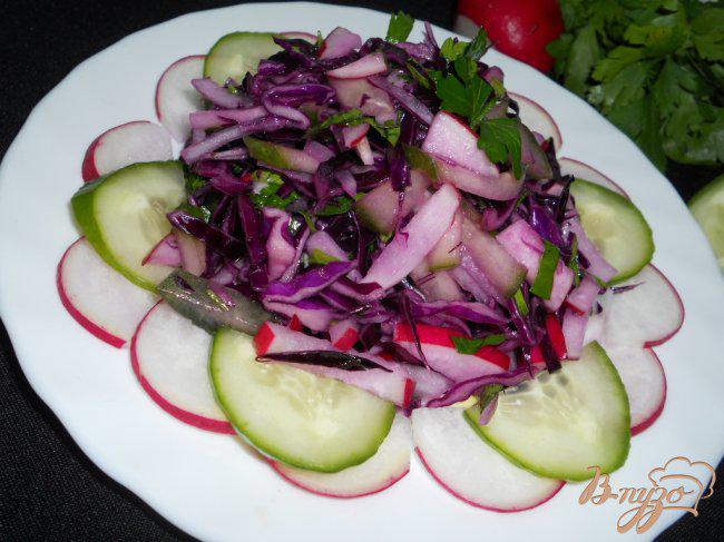 Фото приготовление рецепта: Салат из краснокочанной капусты, огурца и редиса шаг №4