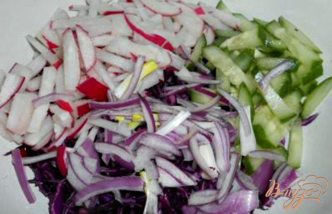 Фото приготовление рецепта: Салат из краснокочанной капусты, огурца и редиса шаг №2