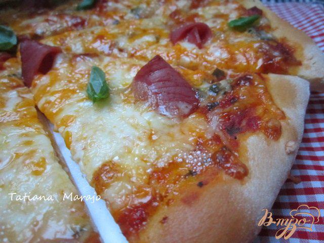 Фото приготовление рецепта: Сырная пицца шаг №6