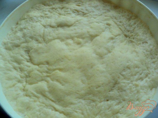 Фото приготовление рецепта: Пирожки печеные со щавелем шаг №2