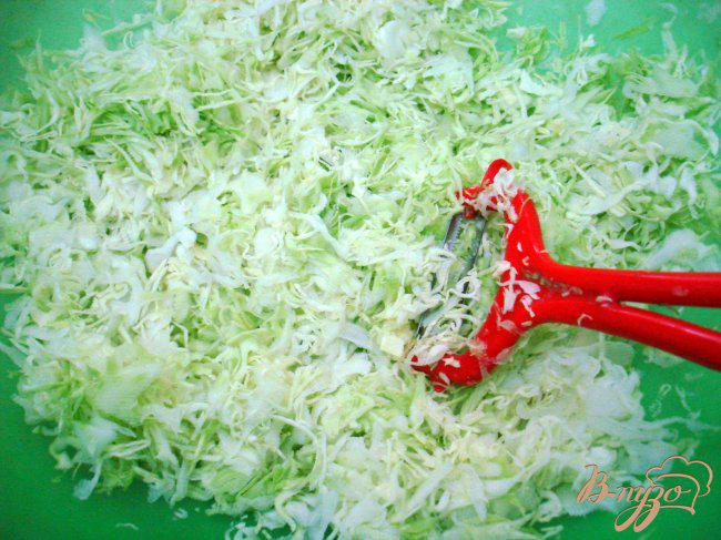 Фото приготовление рецепта: Салат из свежей капусты шаг №2