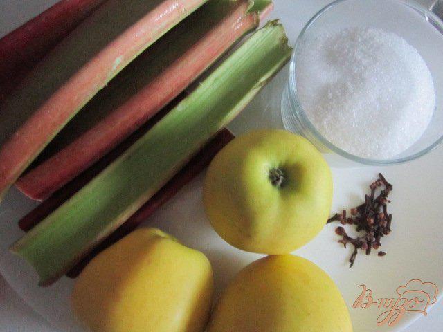 Фото приготовление рецепта: Компот из ревеня, яблок и гвоздики шаг №1