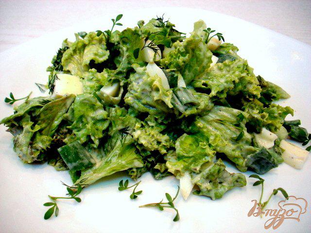 Фото приготовление рецепта: Салат из листового салата шаг №6