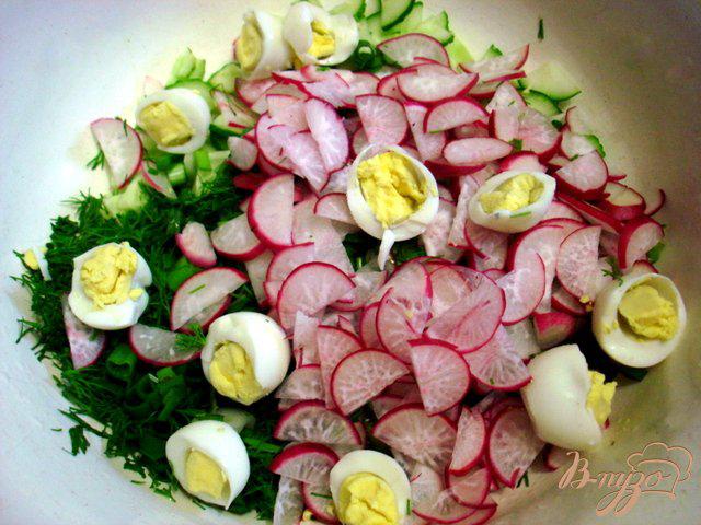 Фото приготовление рецепта: Салат из редиса, огурцов и перепелиных яиц шаг №4
