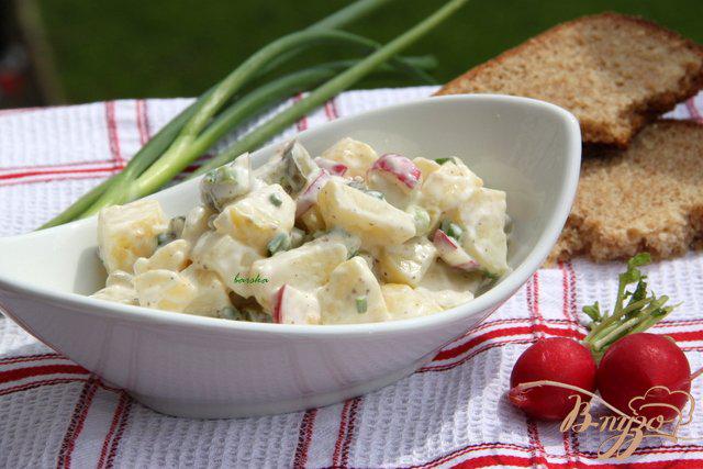 Фото приготовление рецепта: Немецкий картофельный салат с редисом и маринованными огурчиками шаг №4