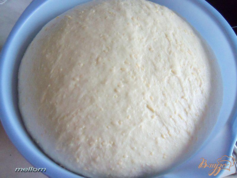 Фото приготовление рецепта: Сырный хлеб с творожной начинкой шаг №3