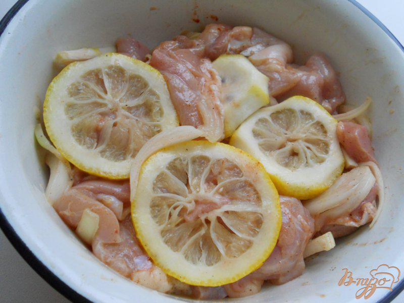 Фото приготовление рецепта: Шашлык из курицы на сковороде шаг №3