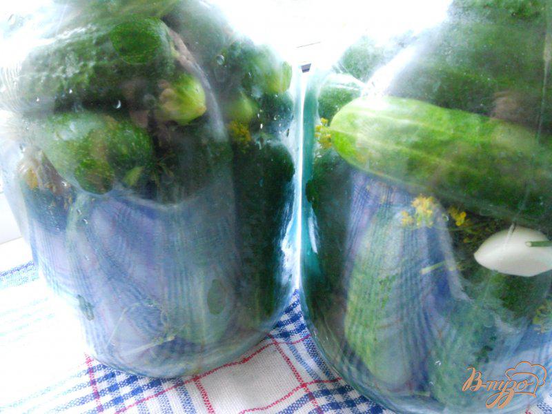 Фото приготовление рецепта: Огурцы маринованные на зиму шаг №2