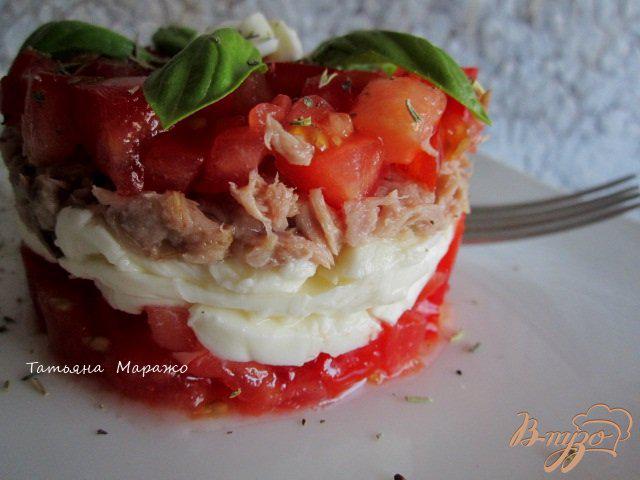 Фото приготовление рецепта: Салат с томатами, моцареллой и тунцом шаг №8