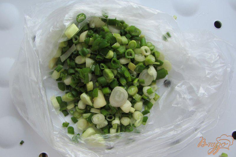 Фото приготовление рецепта: Замороженный зеленый лук шаг №3