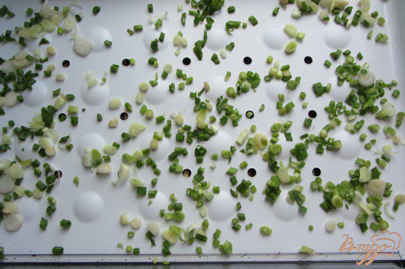 Фото приготовление рецепта: Замороженный зеленый лук шаг №2