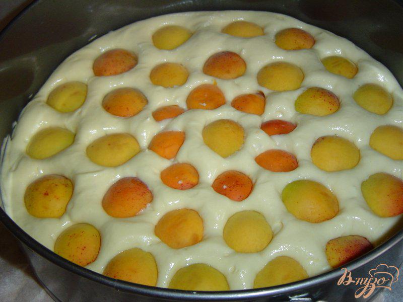 Фото приготовление рецепта: Бисквитный пирог с медом и абрикосами шаг №5