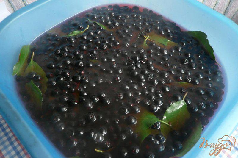 Фото приготовление рецепта: Сироп из черноплодной рябины на зиму шаг №6