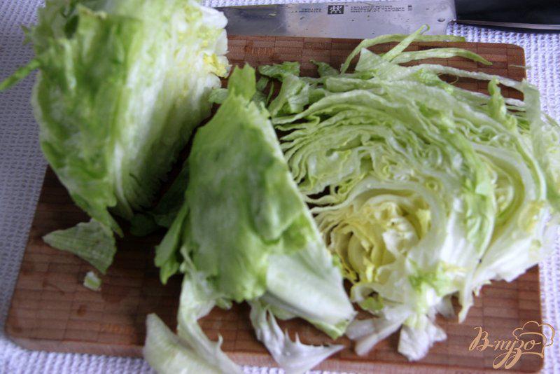 Фото приготовление рецепта: Салат из индейки, айсберга и помидоров шаг №2