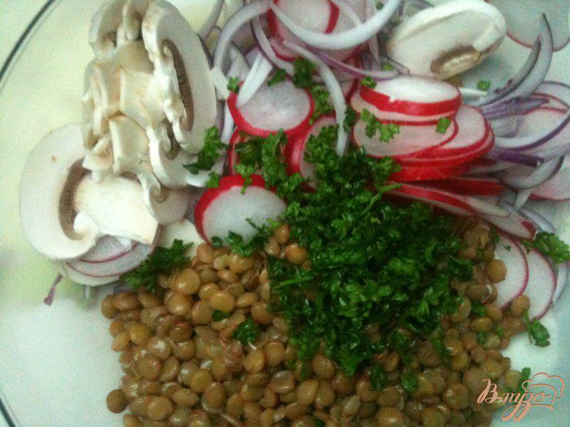 Фото приготовление рецепта: Салат из желтой чечевицы, редиса и грибов шаг №4