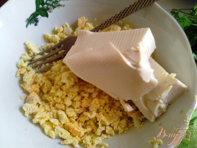 Фото приготовление рецепта: Паста из сыра тофу и подкопченной форелью шаг №3