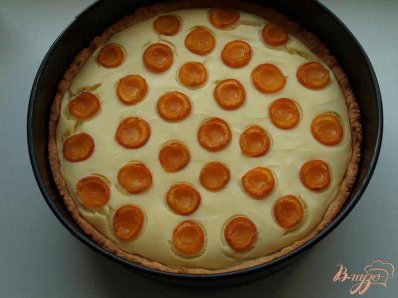 Фото приготовление рецепта: Творожный пирог с абрикосами «Жирафик» шаг №8