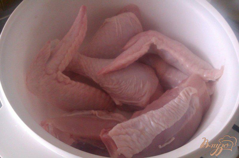 Фото приготовление рецепта: Пикантный шашлык из курицы шаг №1