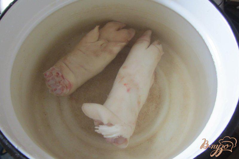 Фото приготовление рецепта: Холодец на свиных ножках со специями. шаг №1