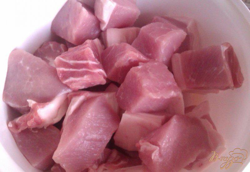 Фото приготовление рецепта: Свиной шашлык с кетчупом шаг №1