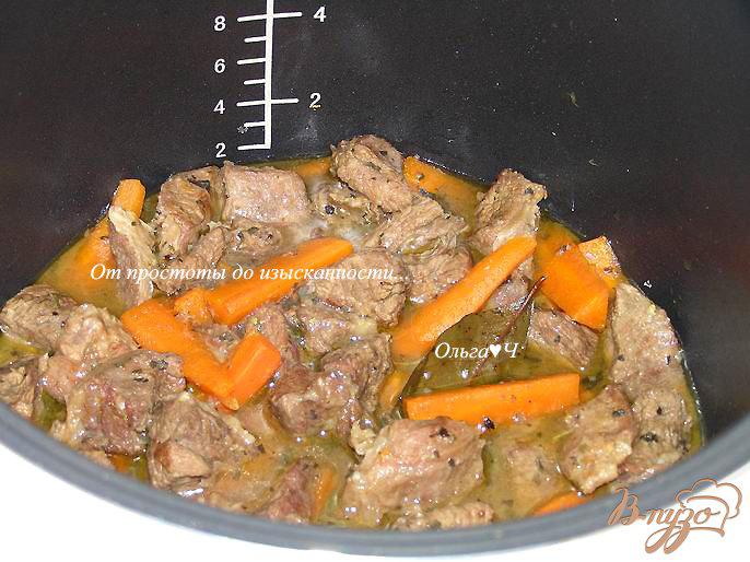 Фото приготовление рецепта: Рагу из говядины с морковью и мятой (в мультиварке) шаг №5