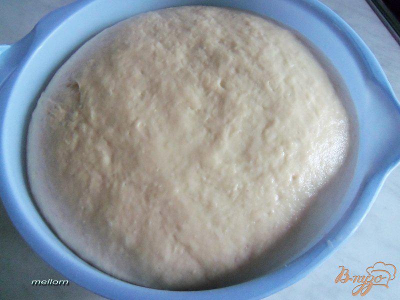 Фото приготовление рецепта: Йогуртовые булочки с творожной массой и карамельно-ореховой корочкой шаг №2