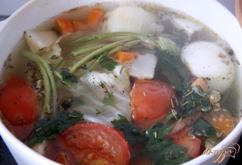 Фото приготовление рецепта: Китайский суп из томатов шаг №1