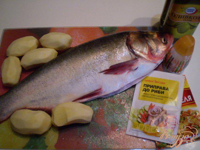 Фото приготовление рецепта: Рыба с овощами в духовке шаг №1