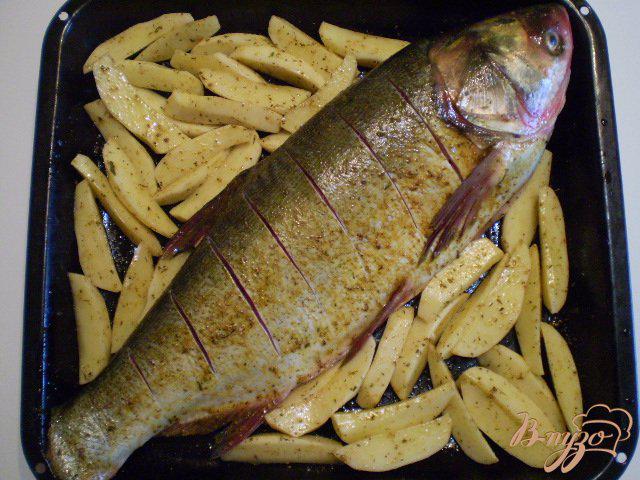 Фото приготовление рецепта: Рыба с овощами в духовке шаг №2