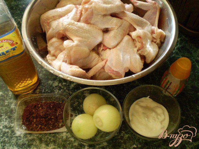 Фото приготовление рецепта: Куриные крылья в луковом соке шаг №1
