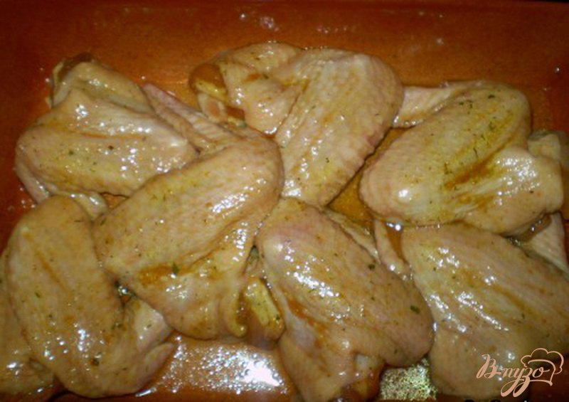 Фото приготовление рецепта: Крылышки маринованные в соевом соусе с медом шаг №4