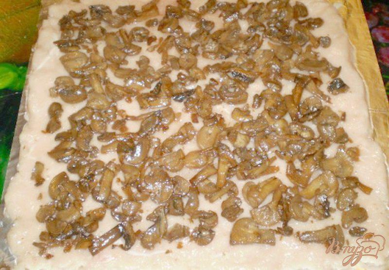 Фото приготовление рецепта: Рулет мясной с грибами, сыром и каперсами шаг №2