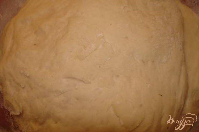 Фото приготовление рецепта: Горчичный хлеб от А. Селезнева шаг №2