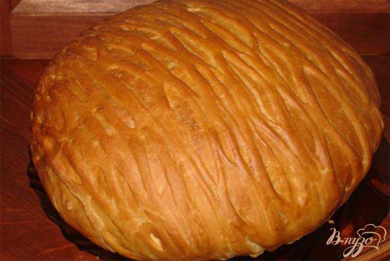 Фото приготовление рецепта: Горчичный хлеб от А. Селезнева шаг №5
