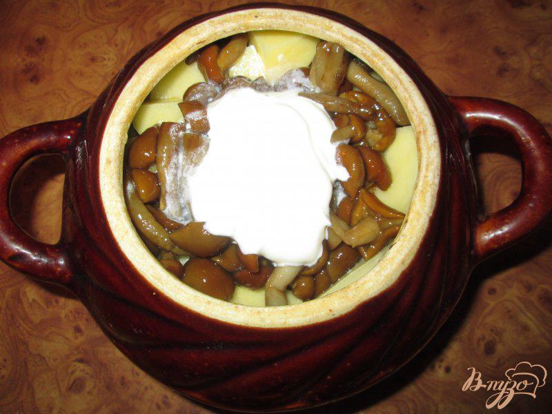 Фото приготовление рецепта: Картошка тушеная с грибами и курицей в горшочке шаг №6