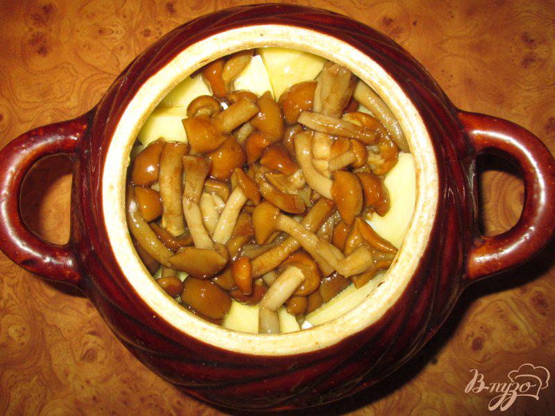 Фото приготовление рецепта: Картошка тушеная с грибами и курицей в горшочке шаг №5